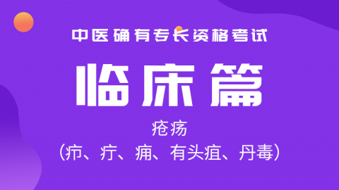 2025中医医术确有专长临床篇-疮疡