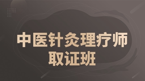 中医针灸理疗师取证班