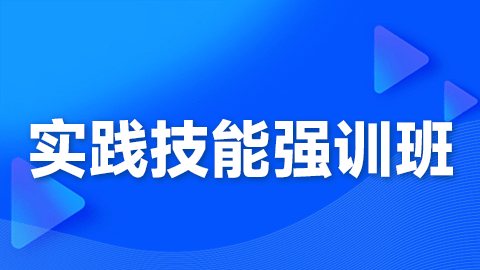 2026临床执业医师（含助理）-实践技能强训班