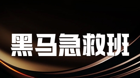 2025中西医执业医师（含助理）-黑马急救班