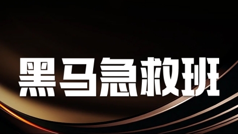 2024药学专业知识（二）-黑马急救班